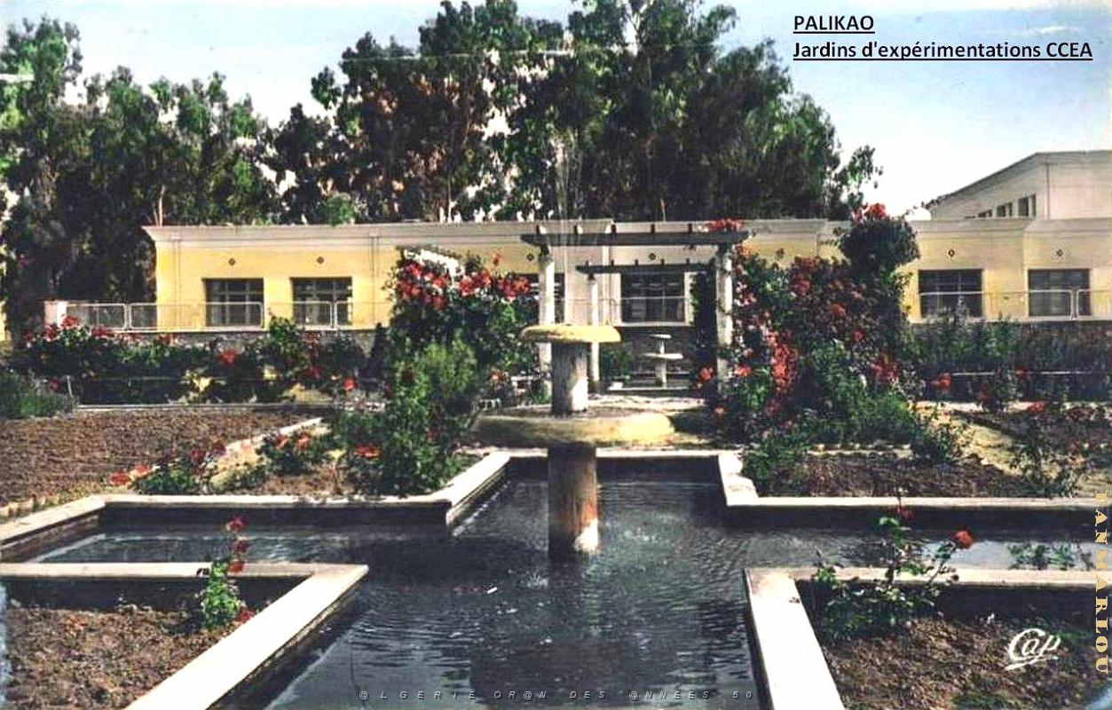 Palikao 102- Jardins experimentations CCEA- 1957.jpg